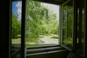 Eladó ház Gödöllő - Belső kép az ablakról