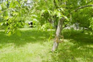 Eladó ház Gödöllő - Kert