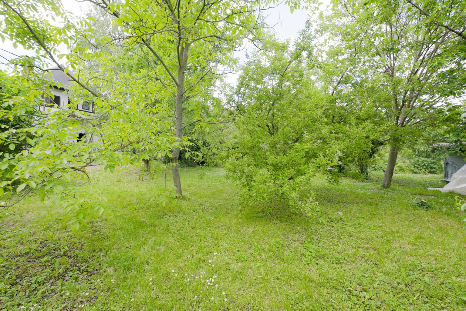 Eladó ház Gödöllő - Kert 4