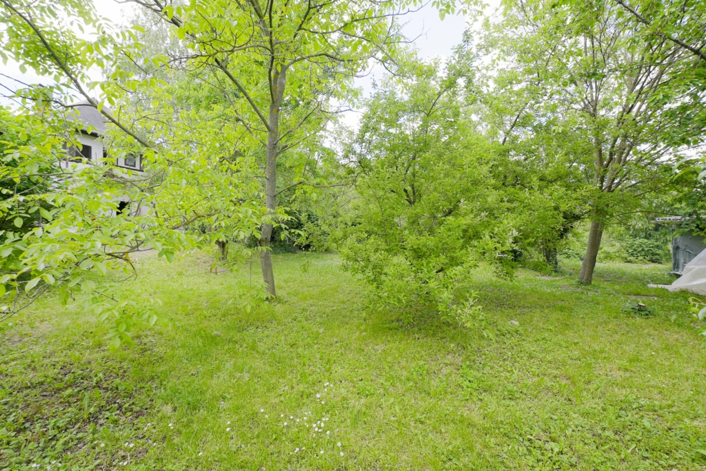 Eladó ház Gödöllő - Kert 4