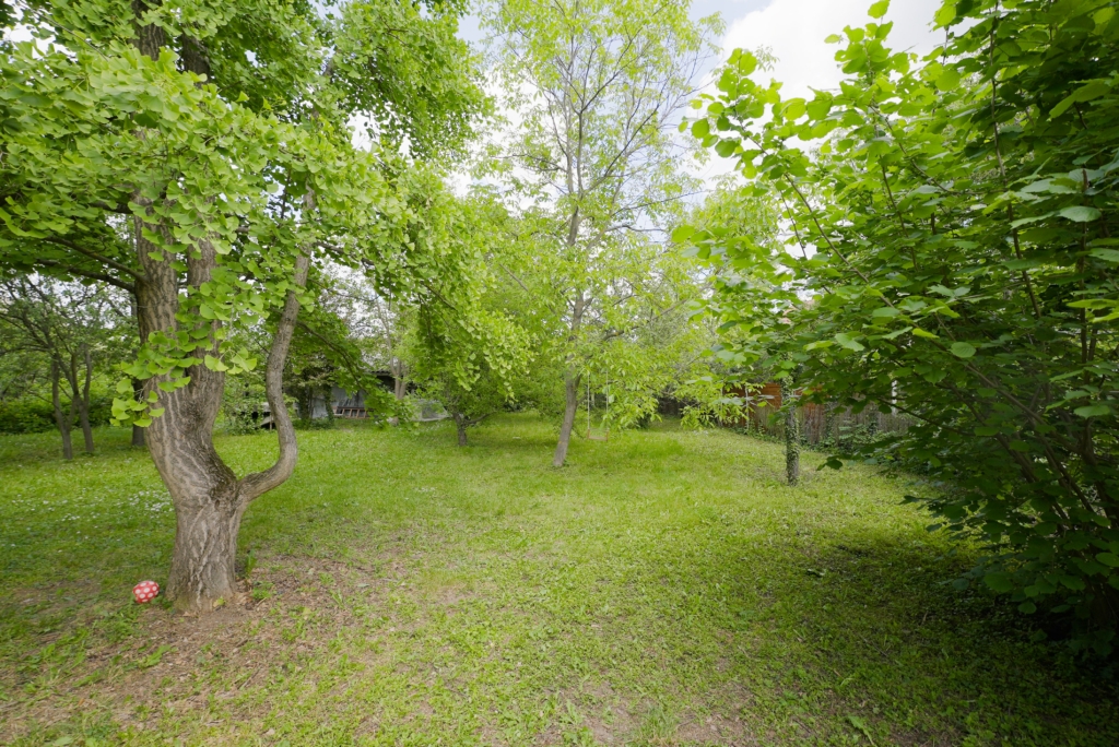 Eladó ház Gödöllő - Kert 6