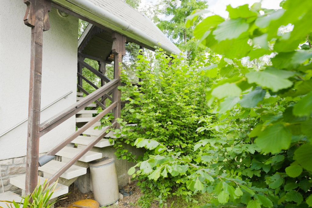 Eladó ház Gödöllő - Ház kívülről külső lépcső