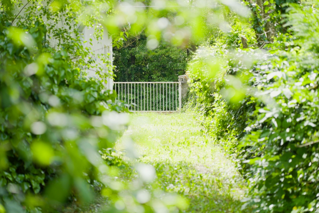 Eladó ház Gödöllő - Udvar